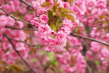 宁波江北区线下个人借款平台一站式服务，轻松解决资金难题