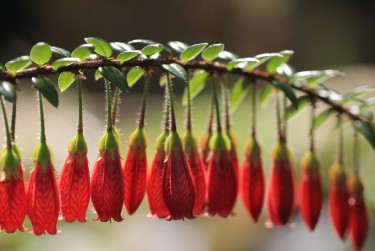 宁波江北区零用贷短借：轻松解决临时资金需求