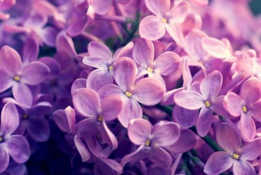 宁波江北区企业急用钱贷款攻略：快速融资解燃眉之急